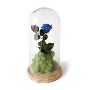 ByB Rosa Eterna - Azul