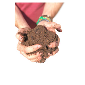 Mantenimiento de la kokedama