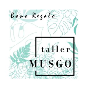 VALE REGALO Taller de kokedamas MUSGO