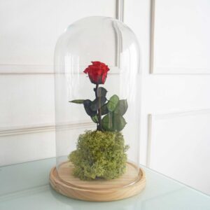 ByB Rosa Eterna - Roja