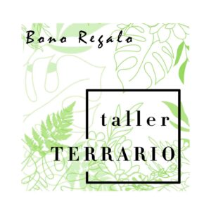 VALE REGALO Taller de TERRARIOS